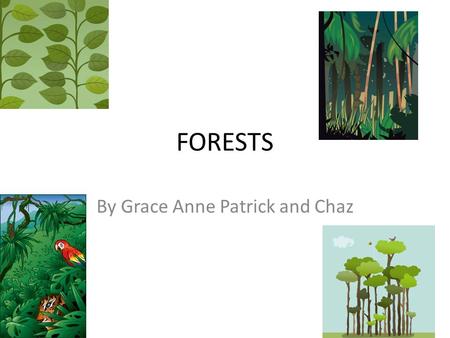 FORESTS By Grace Anne Patrick and Chaz. Living and Non-living Things Living: Birds, snakes, bears, plants, trees, frogs, worms, deer, bugs Non-living: