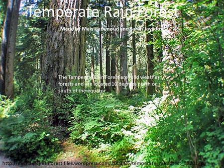 Temperate Rain Forest  Made by Mais Hammoud and Sarah Jayyousi The.