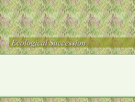 Ecological Succession