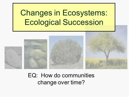 Changes in Ecosystems: Ecological Succession EQ: How do communities change over time?