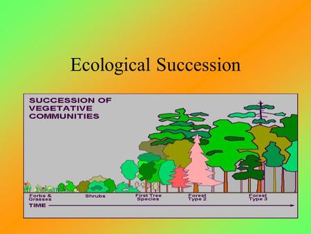 Ecological Succession Series of changes that occur during the development of an ecosystem the gradual replacement of one community by another until a.