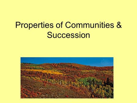 Properties of Communities & Succession. Communities & Species Diversity Remember… a community is a group of populations living together is a defined area.