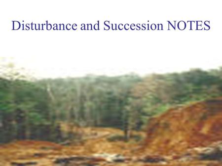 Disturbance and Succession NOTES