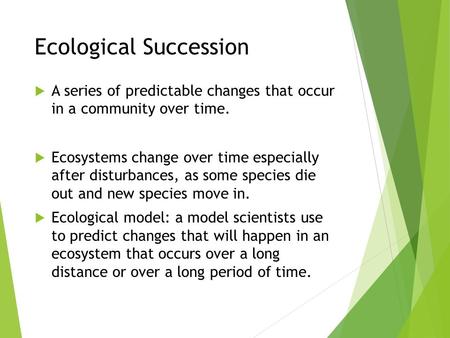 Ecological Succession