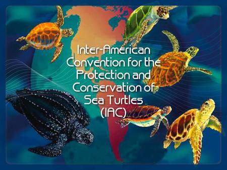 Inter-American Convention for the Protection and Conservation of Sea Turtles (IAC) A unique inter-governmental treaty that provides the legal framework.