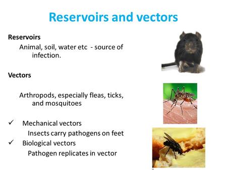 Reservoirs and vectors Reservoirs Animal, soil, water etc - source of infection. Vectors Arthropods, especially fleas, ticks, and mosquitoes Mechanical.