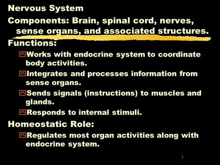 1 Nervous System Components: Brain, spinal cord, nerves, sense organs, and associated structures. Functions: yWorks with endocrine system to coordinate.