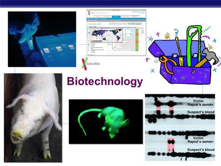 AP Biology 2007-2008 Biotechnology AP Biology TACGCACATTTACGTACGCGGATGCCGCGACT ATGATCACATAGACATGCTGTCAGCTCTAGTAG ACTAGCTGACTCGACTAGCATGATCGATCAGC TACATGCTAGCACACYCGTACATCGATCCTGA.