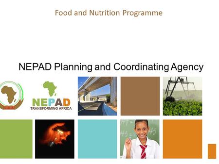 Food and Nutrition Programme NEPAD Planning and Coordinating Agency.