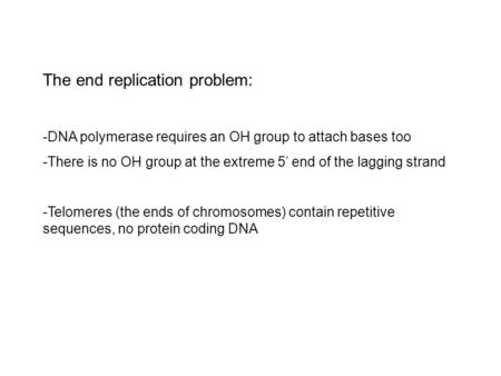 The end replication problem: -DNA polymerase requires an OH group to attach bases too -There is no OH group at the extreme 5’ end of the lagging strand.