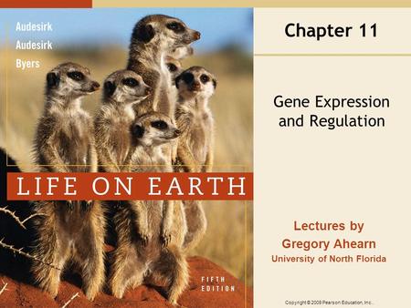 Copyright © 2009 Pearson Education, Inc.. Lectures by Gregory Ahearn University of North Florida Chapter 11 Gene Expression and Regulation.