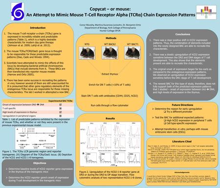 Introduction 1.The mouse T-cell receptor α -chain (TCR α ) gene is expressed in incredibly reliable and predictable patterns (Table 1), which is a highly.