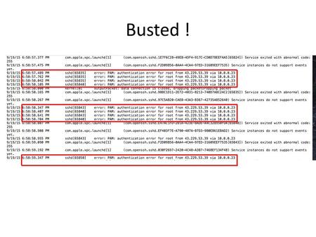 Busted !. Why Security Systems Fail Capability List.