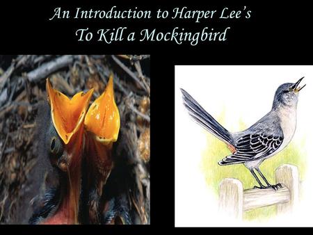 An Introduction to Harper Lee’s To Kill a Mockingbird.