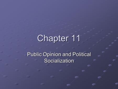 Public Opinion and Political Socialization