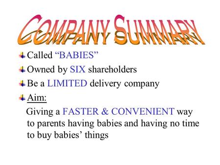 Called “BABIES” Owned by SIX shareholders Be a LIMITED delivery company Aim: Giving a FASTER & CONVENIENT way to parents having babies and having no time.