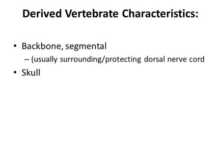 Derived Vertebrate Characteristics: Backbone, segmental – (usually surrounding/protecting dorsal nerve cord Skull.