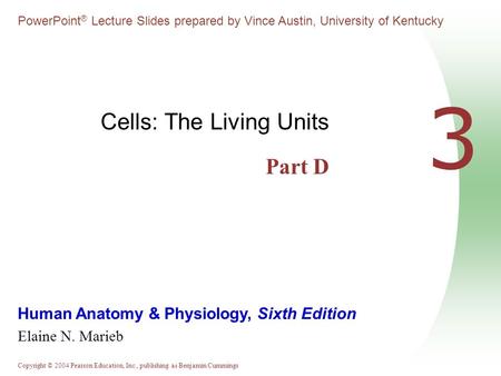 Copyright © 2004 Pearson Education, Inc., publishing as Benjamin Cummings Human Anatomy & Physiology, Sixth Edition Elaine N. Marieb PowerPoint ® Lecture.