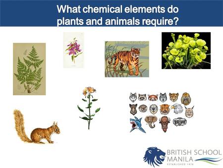 Objectives Construct the carbon cycle identifying different processes which occur. Outcomes 3: Describe different processes within the carbon cycle. 5: