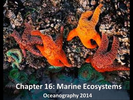 Chapter 16: Marine Ecosystems