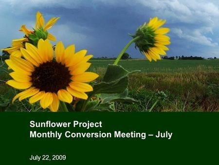 July 22, 2009 Sunflower Project Monthly Conversion Meeting – July.