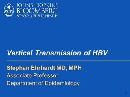 Vertical Transmission of HBV