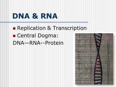 DNA & RNA Replication & Transcription Central Dogma: DNA—RNA--Protein.