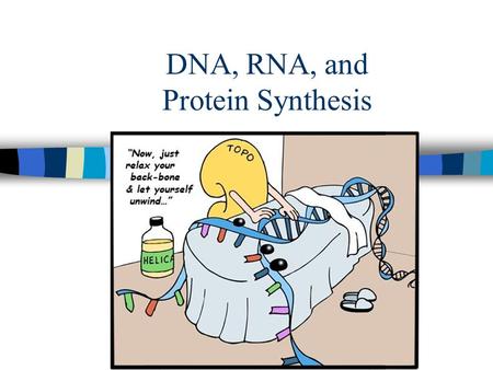 DNA, RNA, and Protein Synthesis