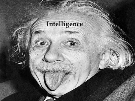 Intelligence.  What is Gardner’s Theory of Multiple Intelligences?  How is an intellectual disability defined?  What have past and recent studies demonstrated.