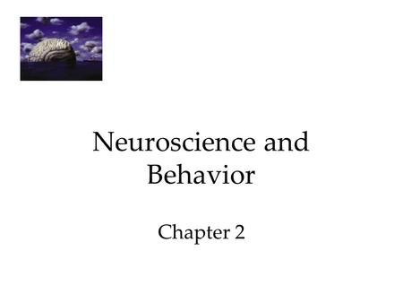 Neuroscience and Behavior Chapter 2