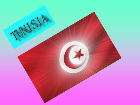 La Tunisia è un paese del Maghreb, la fascia costiera dell'Africa... Posizione geografica della Tunisia e confini La Tunisia confina ad ovest con l'Algeria.