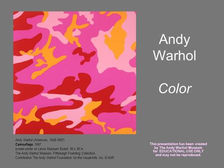 Andy Warhol Color Andy Warhol (American, 1928-1987) Camouflage, 1987 screen prints on Lenox Museum Board, 38 x 38 in. The Andy Warhol Museum, Pittsburgh.