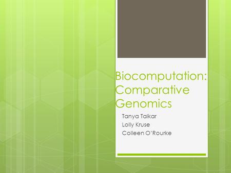 Biocomputation: Comparative Genomics Tanya Talkar Lolly Kruse Colleen O’Rourke.