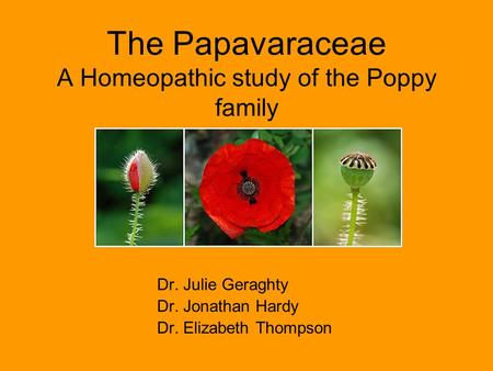 The Papavaraceae A Homeopathic study of the Poppy family Dr. Julie Geraghty Dr. Jonathan Hardy Dr. Elizabeth Thompson.