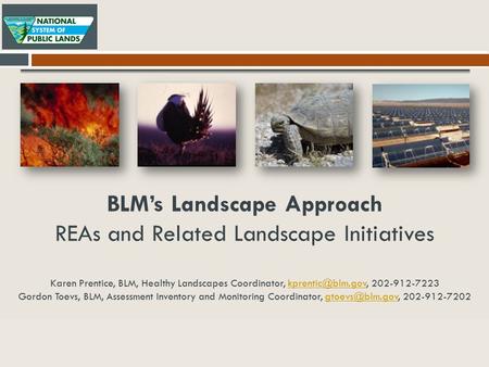 BLM’s Landscape Approach REAs and Related Landscape Initiatives Karen Prentice, BLM, Healthy Landscapes Coordinator, 202-912-7223 Gordon.