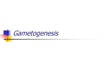 Gametogenesis. Scope Gonadogenesis Primordial germ cells Ambisexual (indifferent ) gonad Gametogenesis Oogenesis Spermatogenesis.