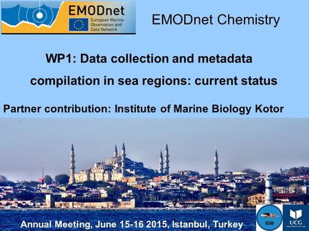 Annual Meeting, June 15-16 2015, Istanbul, Turkey WP1: Data collection and metadata compilation in sea regions: current status EMODnet Chemistry Partner.