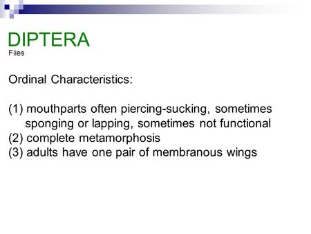 DIPTERA Ordinal Characteristics: