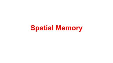 Spatial Memory. Food Storing Behavior Animal creates a resource distribution that only it knows/has awareness of. Reference Memory: storage sites, what.