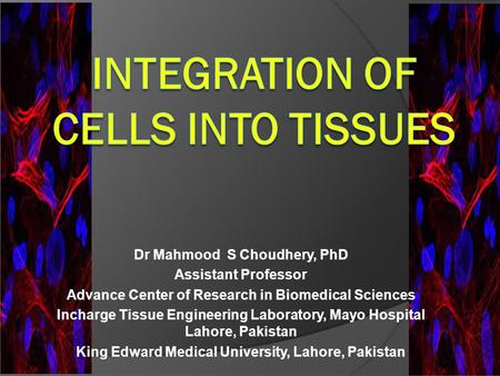 Dr Mahmood S Choudhery, PhD Assistant Professor Advance Center of Research in Biomedical Sciences Incharge Tissue Engineering Laboratory, Mayo Hospital.