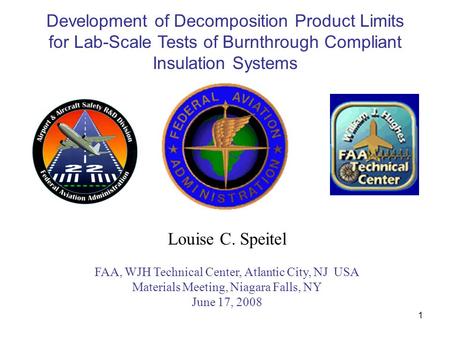 1 Louise C. Speitel FAA, WJH Technical Center, Atlantic City, NJ USA Materials Meeting, Niagara Falls, NY June 17, 2008 Development of Decomposition Product.