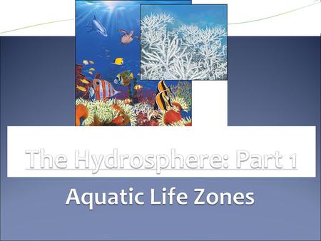 Aquatic Life Zones Types of organisms in an aquatic ecosystem are mainly determined by salinity(amount of salt): Saltwater/ Marine life zones Freshwater.