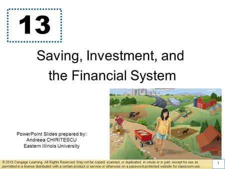 PowerPoint Slides prepared by: Andreea CHIRITESCU Eastern Illinois University 13 Saving, Investment, and the Financial System © 2015 Cengage Learning.