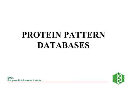 PROTEIN PATTERN DATABASES. PROTEIN SEQUENCES SUPERFAMILY FAMILY DOMAIN MOTIF SITE RESIDUE.