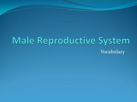 Vocabulary. Puberty Period of sexual development during which males and females become sexually mature, and able to produce children. Changes include: