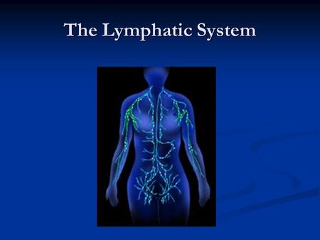 The Lymphatic System.