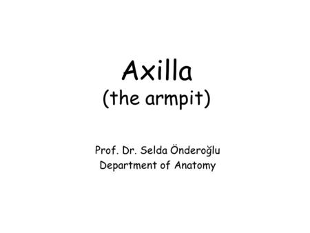 Axilla (the armpit) Prof. Dr. Selda Önderoğlu Department of Anatomy.