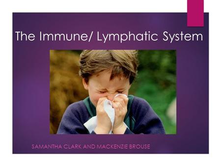 The Immune/ Lymphatic System SAMANTHA CLARK AND MACKENZIE BROUSE.