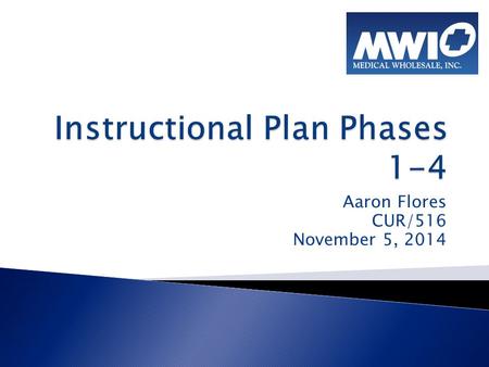 Aaron Flores CUR/516 November 5, 2014.  Phase I ◦ Name of Training Session ◦ Brief Description ◦ Target Audience ◦ Training Method or Modality ◦ Goals.