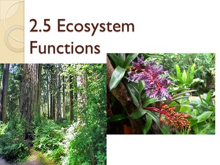 2.5 Ecosystem Functions.